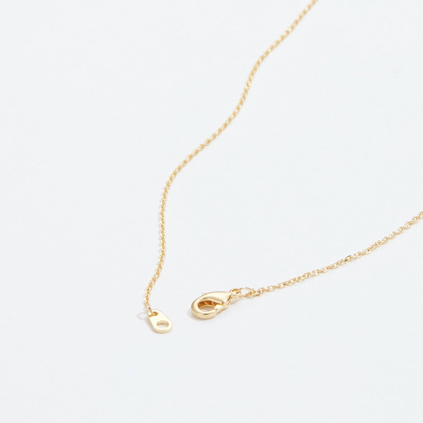 Gold Dipped Cactus and Moon Necklace Frem