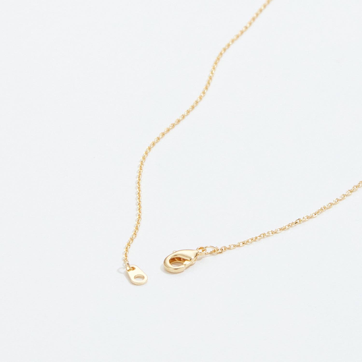 Gold Dipped Cactus and Moon Necklace Frem